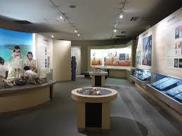 Image result for 土井ヶ浜遺跡　視線　故郷