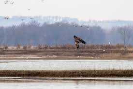 Image result for Cleves United