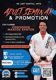 Image result for Guerrero Martial Arts