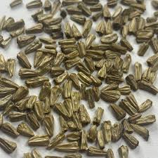 Attēlu rezultāti vaicājumam “Acorus calamus fruit”