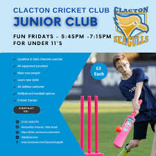 Image result for Clacton Cricket Club