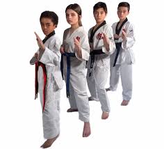 Image result for New Milton Taekwondo Club