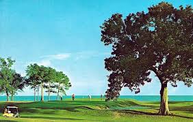 Image result for Broadwater Park Golf Club