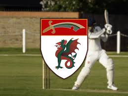 Image result for Rayleigh Cricket Club