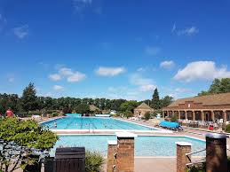 Image result for Hitchin Swimming Club
