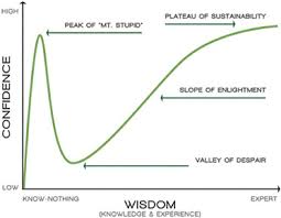 Image result for gartner hype 2011