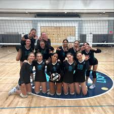 Image result for British Airways Volleyball Club