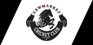 Image result for Godmanchester Town Cricket Club