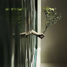 Image result for perspective photography