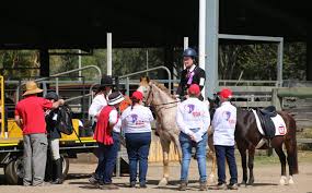 Image result for Riding For The Disabled Association