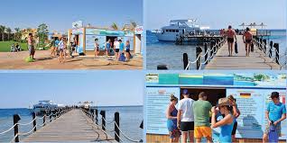 Image result for 243 Diving Club
