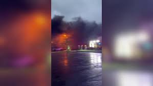 Image result for Tamworth Olympic Gymnastics Club