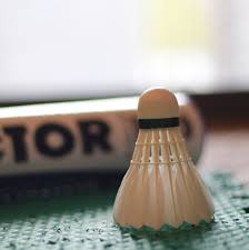 Image result for Ford Badminton Club