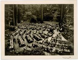 Image result for bohemian club