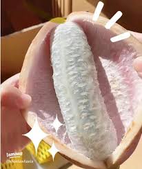 Attēlu rezultāti vaicājumam “Cinna latifolia fruit”