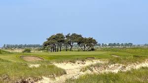 Image result for Wolds Gc