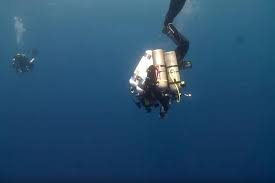 Image result for Exe To Sea Diving