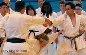 Image result for Bushin Kenpo Kai Schools