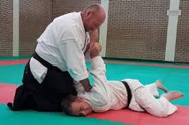 Image result for Basingstoke Aikido Club