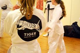 Image result for Kidderminster Tae Kwon Do Tigers