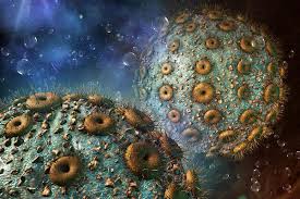 Image result for фотография вируса вич