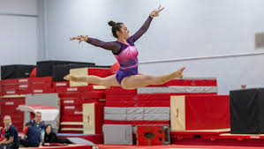 Image result for Hinckley Gymnastics Club