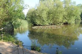Image result for Orpington District Angling Association