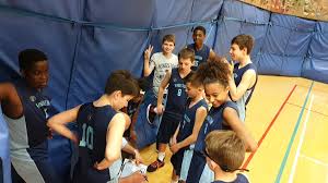 Image result for Kingston Wildcats Basketball Club
