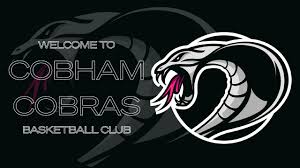 Image result for Cobham