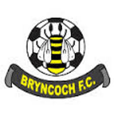 Image result for Brendon Bees Junior Football Club