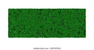 Image result for Astroturf