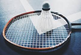 Image result for Ascot Badminton Club