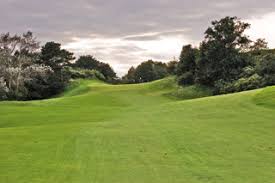 Image result for The Craythorne Golf Club