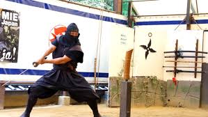 Image result for Hertfordshire Iga Ryu Ninjutsu