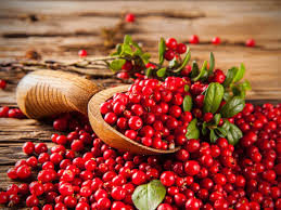 Attēlu rezultāti vaicājumam “Oxycoccus flower”