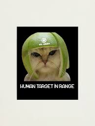 Image result for limecat