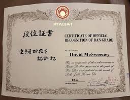 Image result for Seiki Juku Karate Organisation