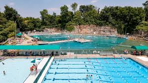 Image result for Ledbury & District Amateur Swimming Club