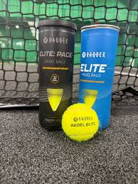 Image result for Darnills Abbey Badminton Club