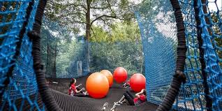 Image result for Go Ape! Moors Valley