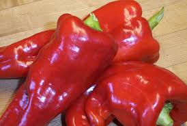 Afbeeldingsresultaat voor aconcagua sweet pepper