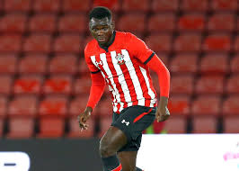 Image result for Southampton Stags