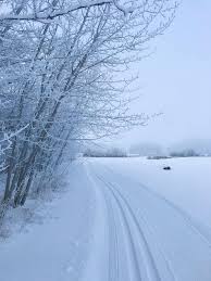 Image result for Lakeland Cross Country Ski Club