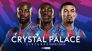 Image result for Crystal Palace Netball Club