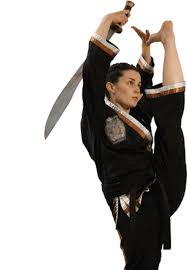 Image result for Ndm Martial Arts