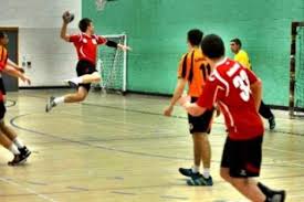 Image result for Deva Handball Club