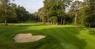 Image result for Chelmsford Gc
