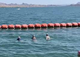 Image result for Aquatone Classes