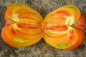 Afbeeldingsresultaat voor belarus orange tomato