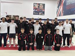 Image result for City Of Newcastle Gymnastics Academy